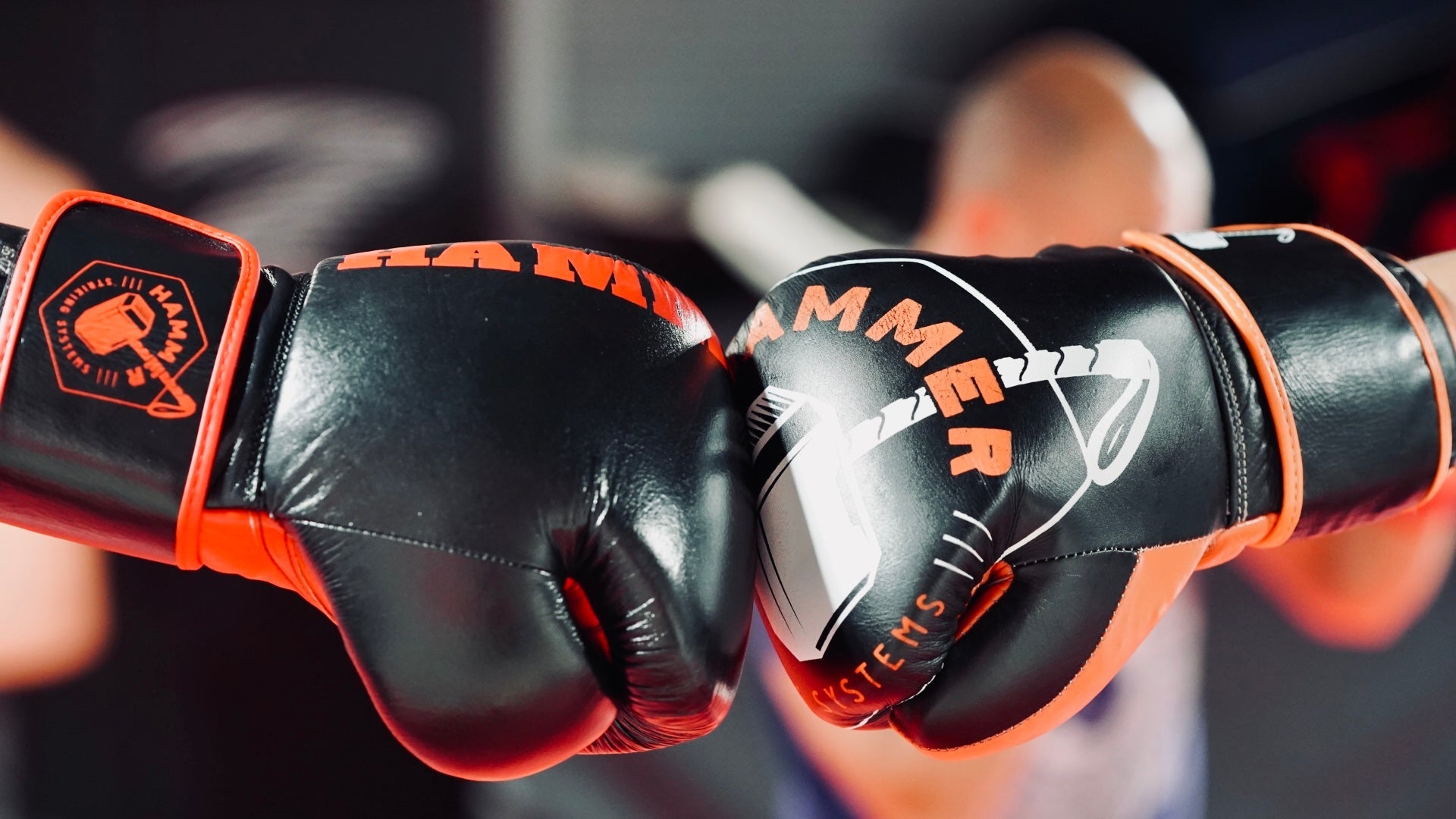 Boxing Gloves & Wraps – Hammer Jiu Jitsu Shop