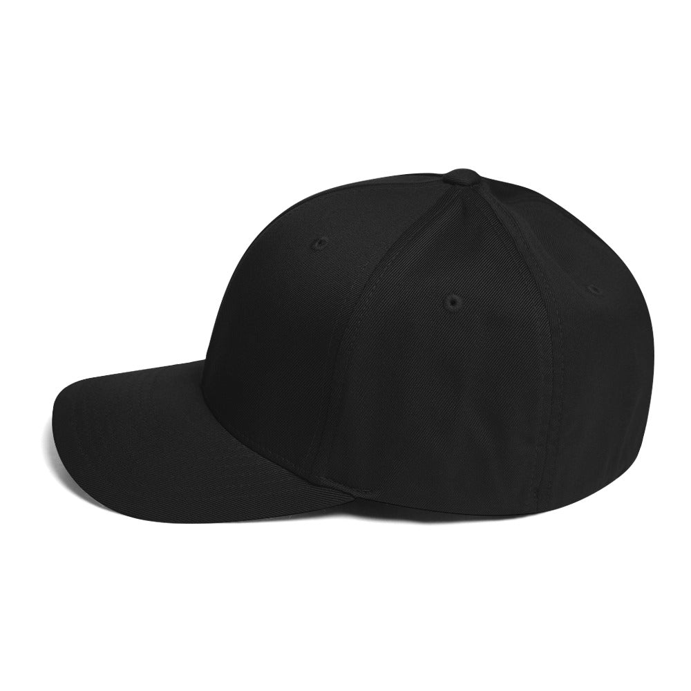 HJJ2 Flexfit Hat